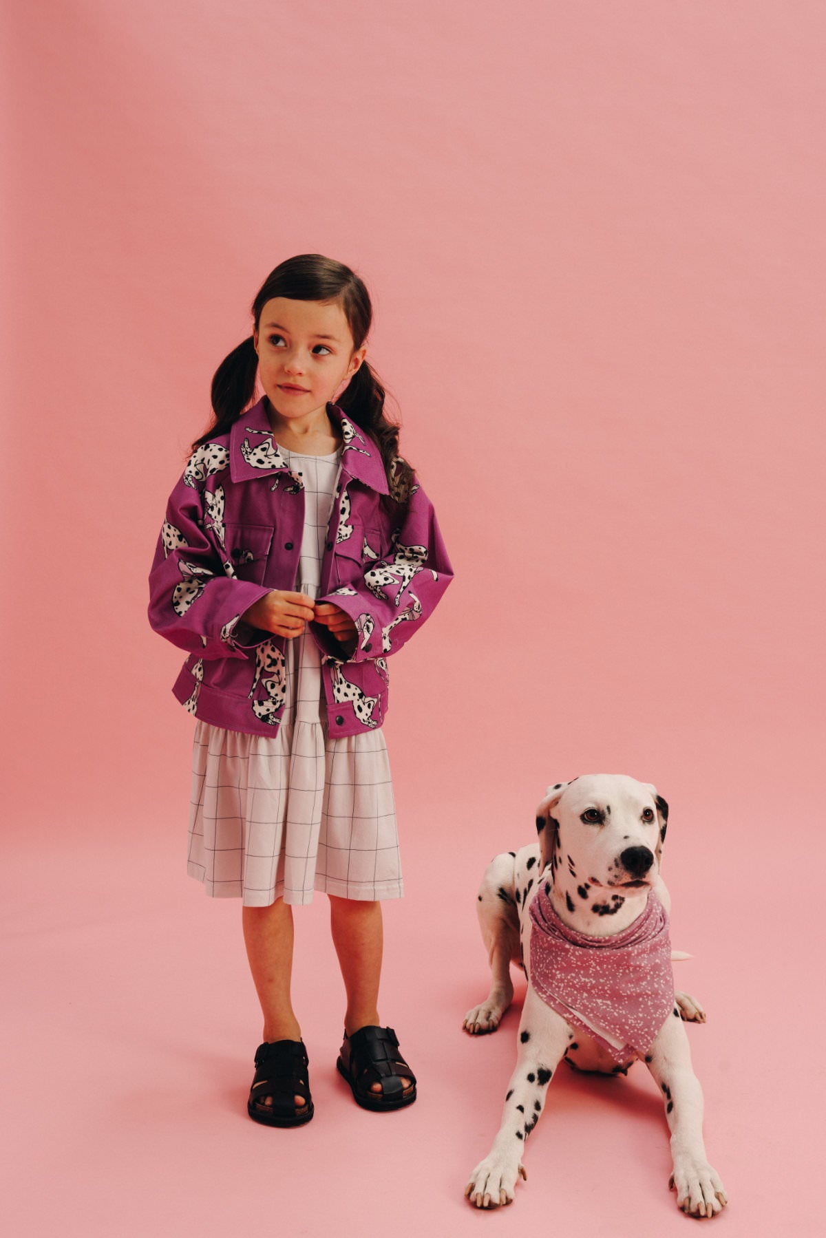 DALMATIAN PURPLE | LIGHT JACKET
