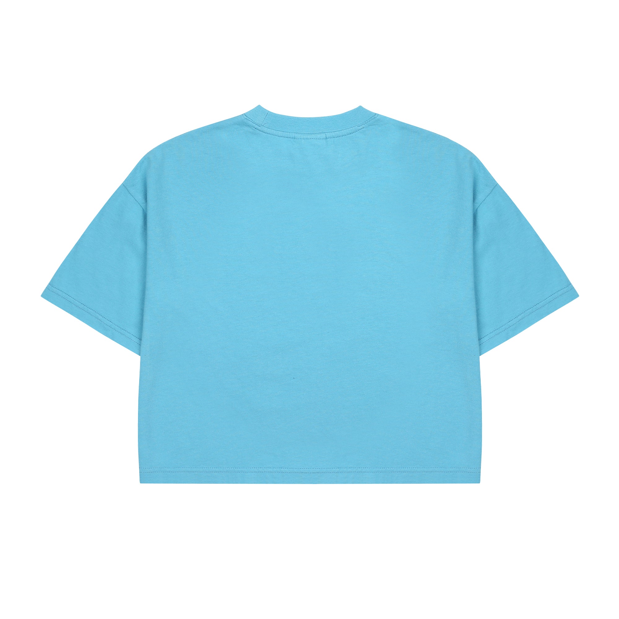 L/Blue Colorful Apple T-shirt_L/Blue JM2410122